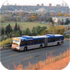 ETS Articulated buses